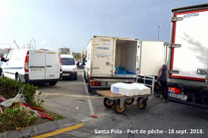11 SANTA POLA PORT DE PECHE (131)